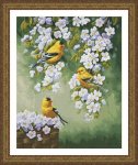 (image for) Goldfinch Blossoms